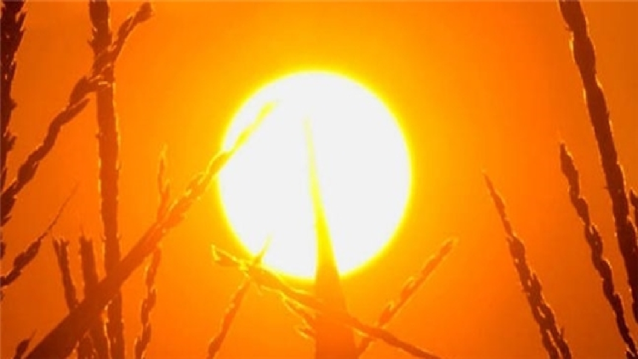 پیش بینی رخداد دمای ۴۸ و ۴۹ درجه در خوزستان