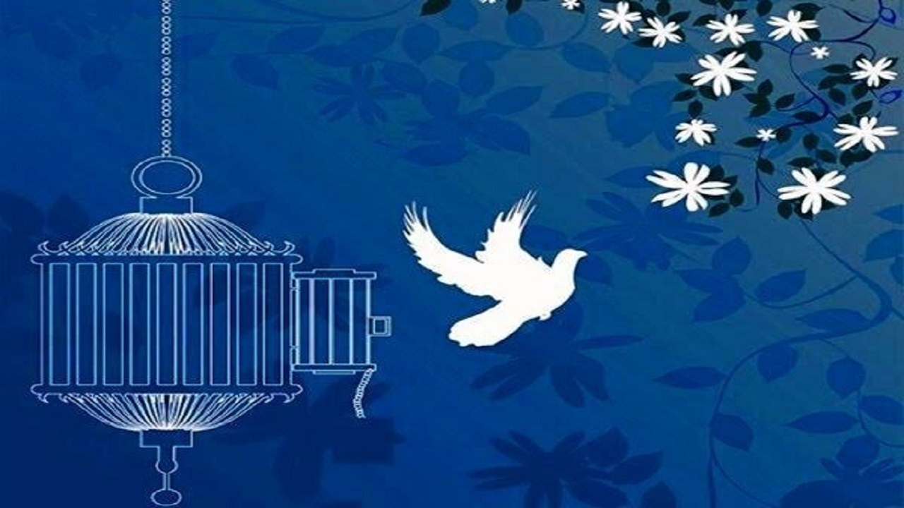 بخشش سه محکوم به قصاص، شب اربعین در خیابان اربعین ِگرگان