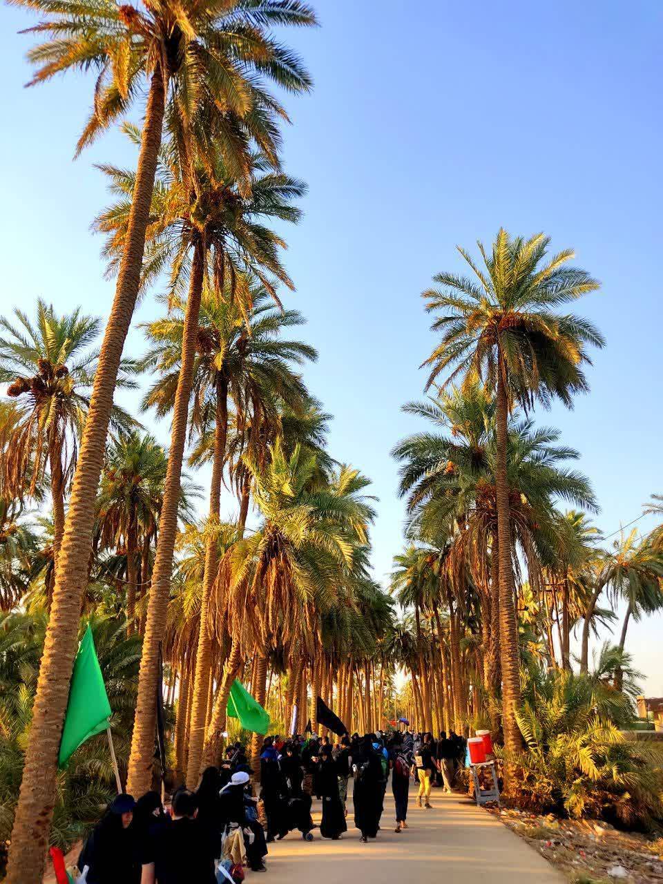 موکب داران در کربلای معلی موکب داران در کربلای معلی