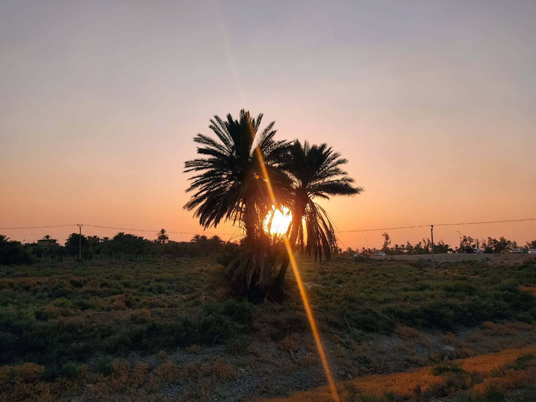 غروب اربعین در کربلای معلی غروب اربعین در کربلای معلی