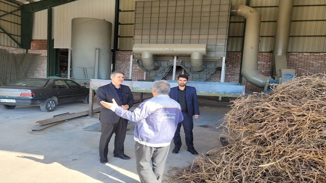 بررسی مشکلات کارخانه گیاهان دارویی رابر باحضور دادستان کرمان
