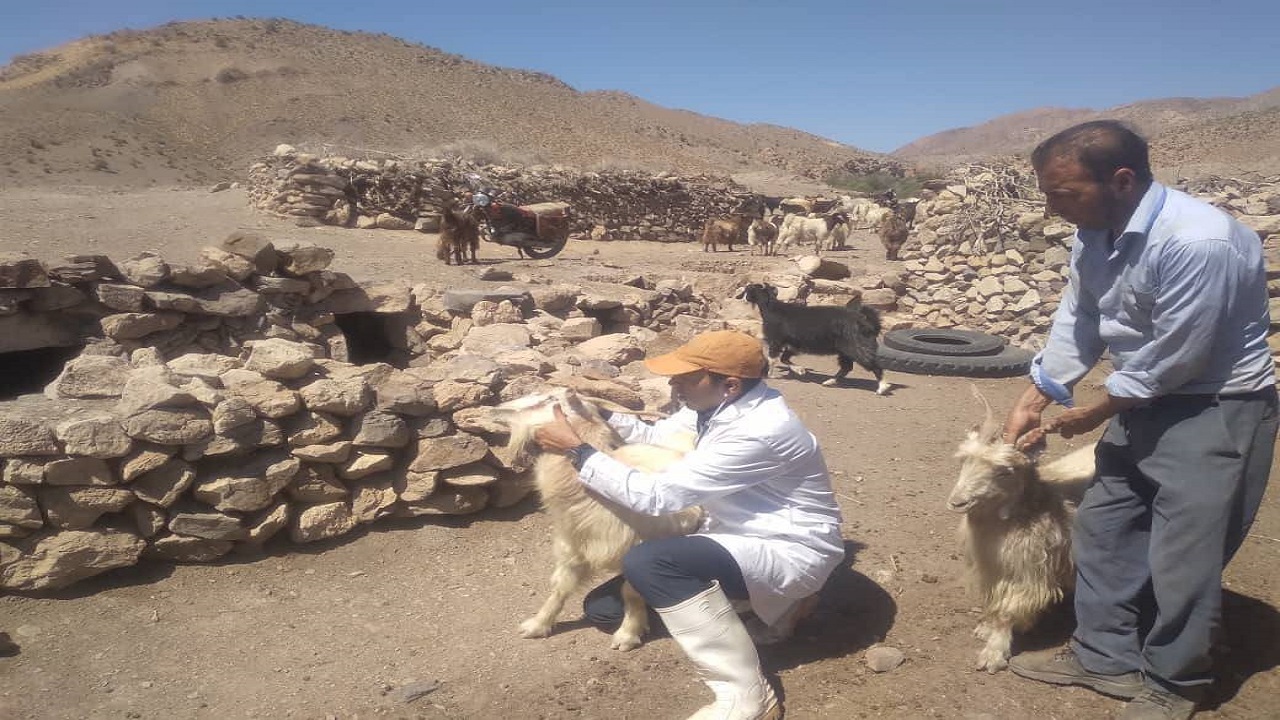 برگزاری اردوی جهادی دامپزشکی درمنطقه بی بی حیات