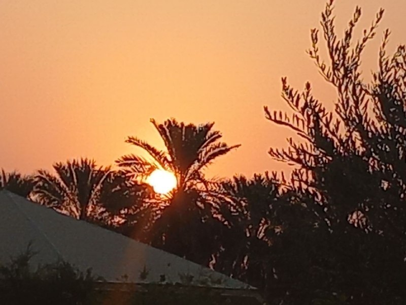 پدیده طلوع