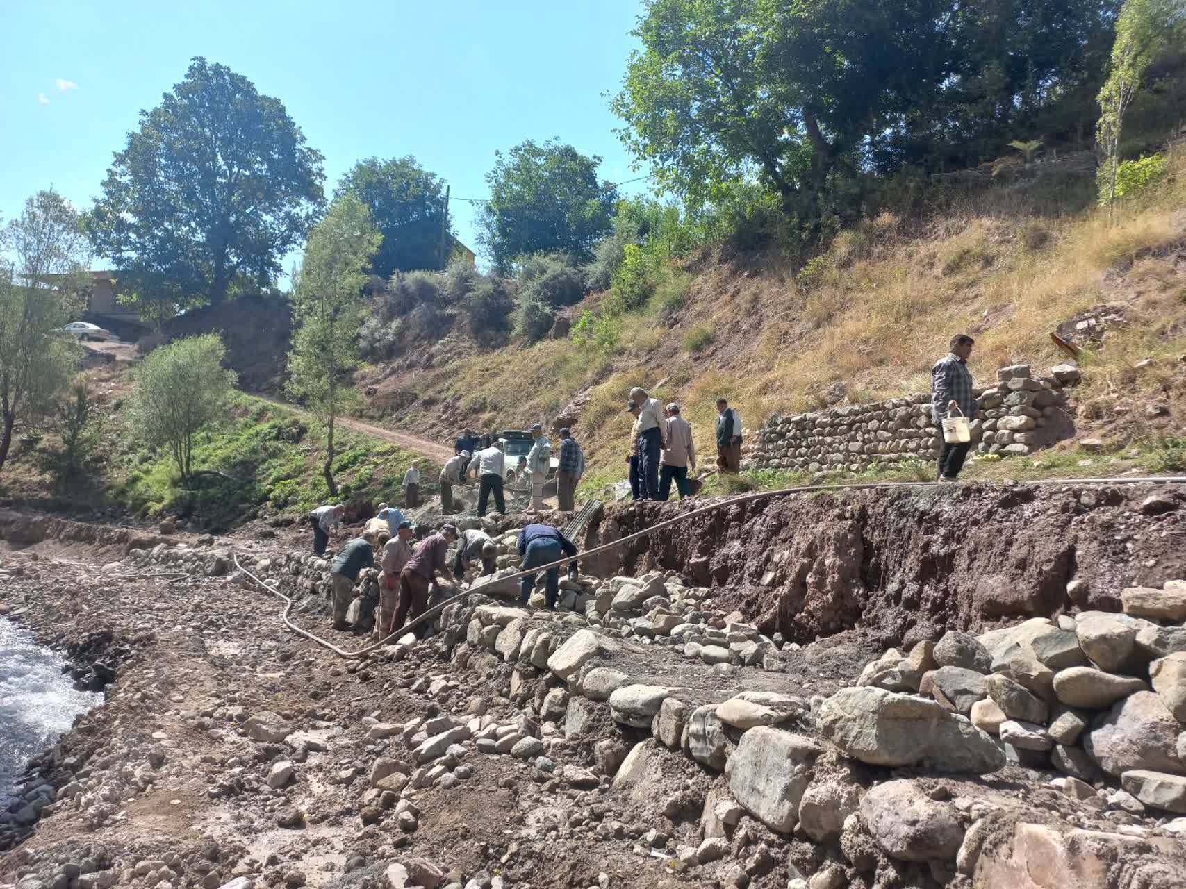 دیوار کشی