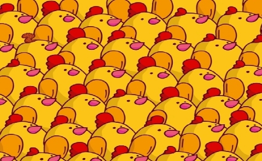 مرغ