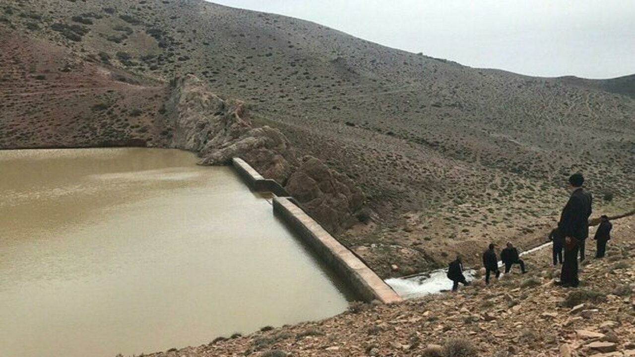 بیشتر طرح‌های مقابله با گرد و غبار خوزستان از حالت درختکاری مستقیم خارج شده اند
