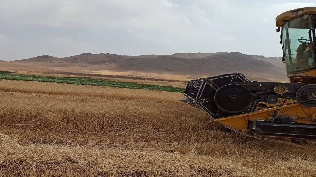 سه تعاونی روستایی خراسان جنوبی در کشور نمونه شدند
