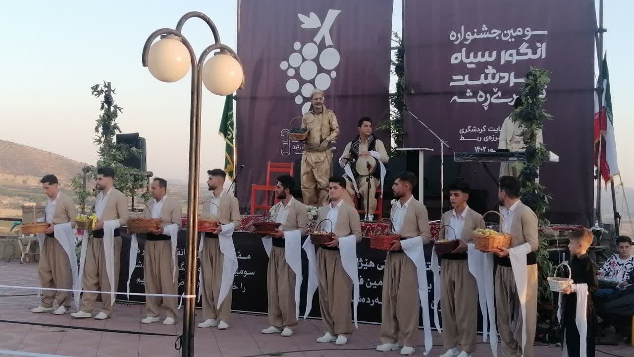 آغاز جشنواره انگور سیاه سردشت/ اقتصاد انگوری آذربایجان غربی +عکس