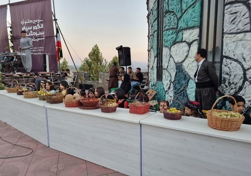 آغاز جشنواره انگور سیاه سردشت/اقتصاد انگوری آذربایجان غربی