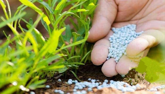 توزیع بیش از ۲ هزار تن کود کشت پاییزه در همدان 
