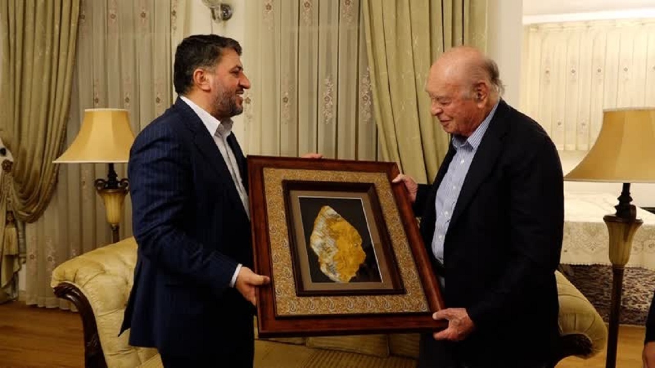 دیدار استاندار یزد با پزشکان یزدی +تصویر