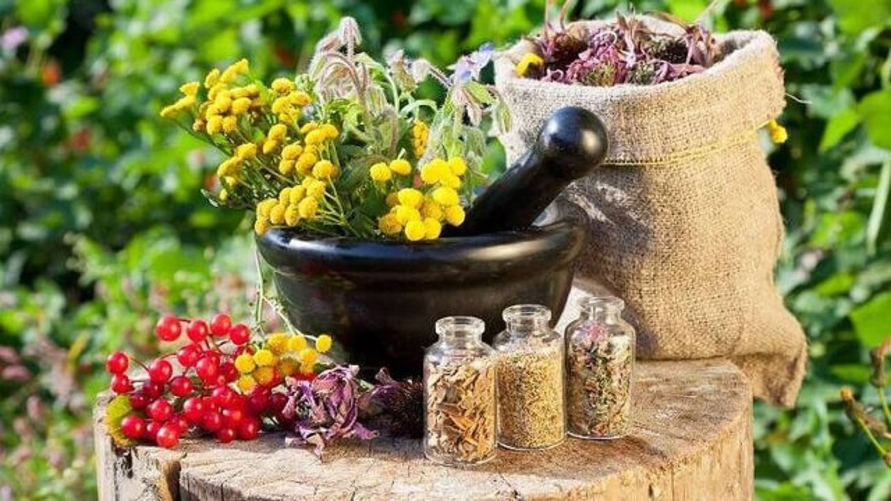 کشت گیاهان کم آب خواه در اراضی شاهدیه