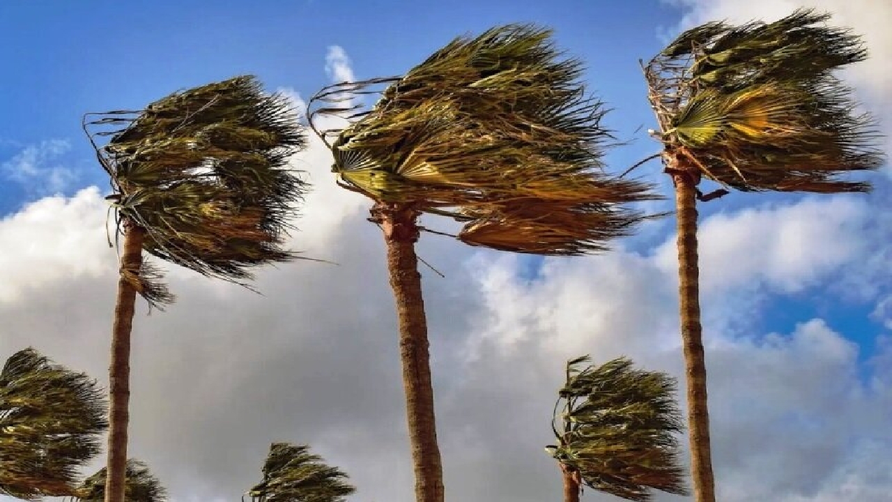 پیش بینی افزایش وزش باد و وقوع گرد و غبار در خوزستان