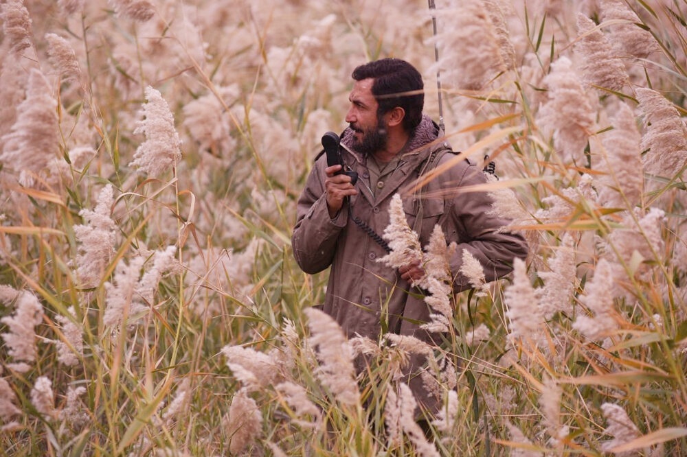 مهدی باکری