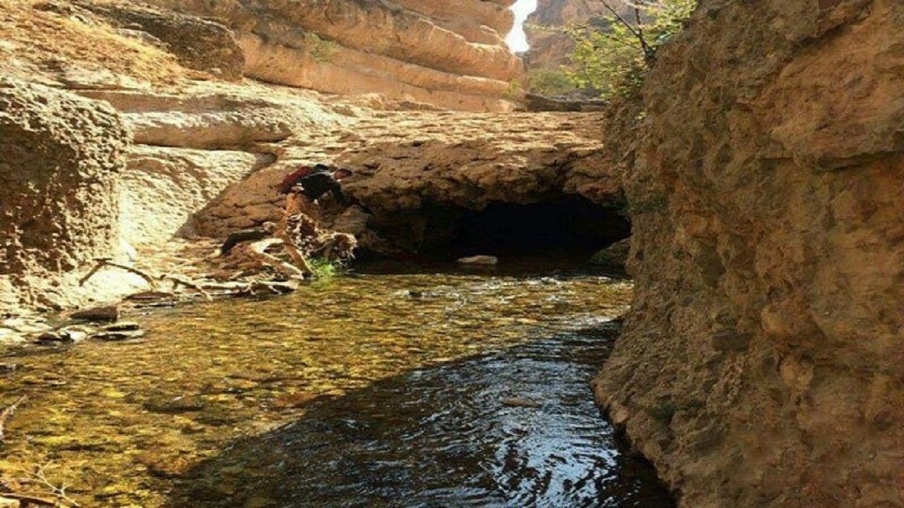 قابی خاطره انگیز از چشمه کدخدا در کوهدشت