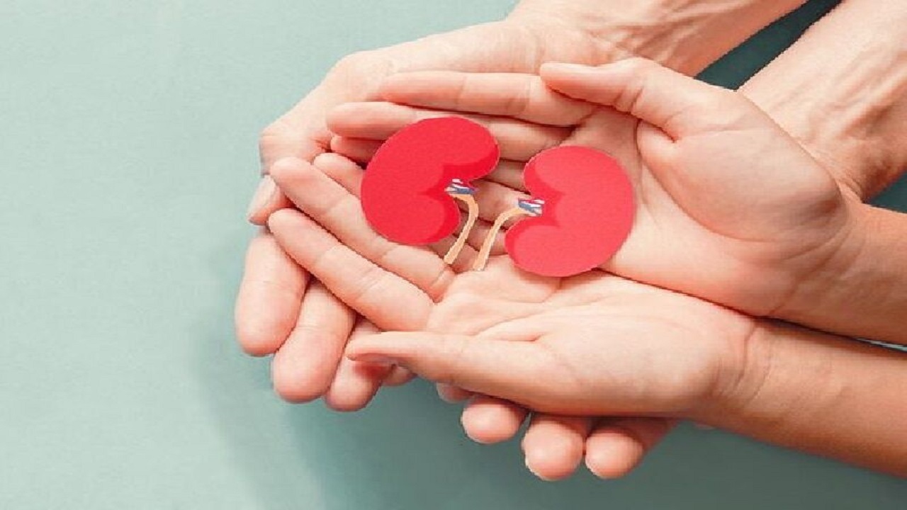 اهدای اعضای بانوی جوان مغزی مشهدی به پنج بیمار