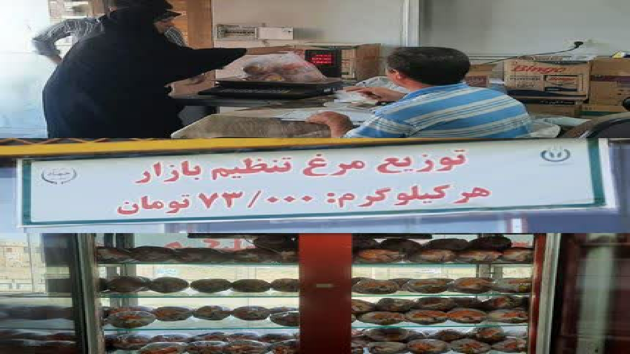 توزیع مرغ گرم تنظیم بازار در فروشگاه های تعاونی قزوین