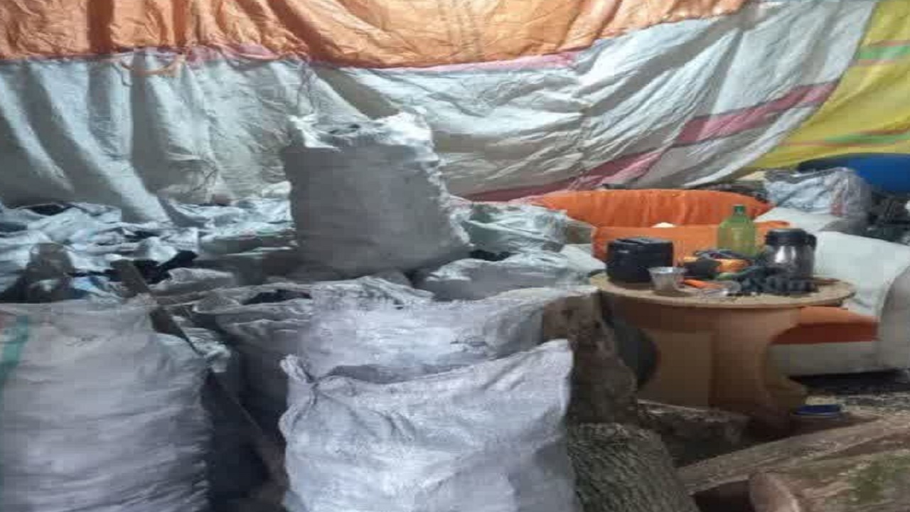 شناسایی کوره ذغال غیرمجاز در شهرستان ساری