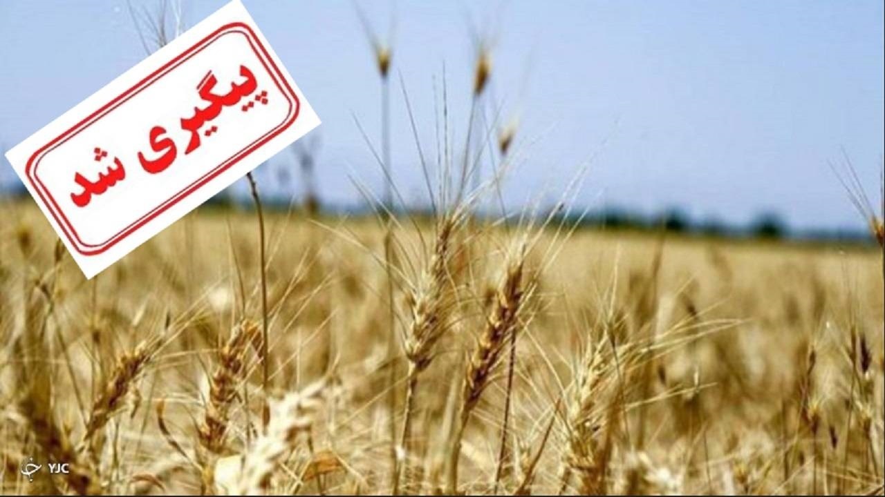مشخص شدن نرخ خرید تضمینی محصولات کشاورزی به زودی