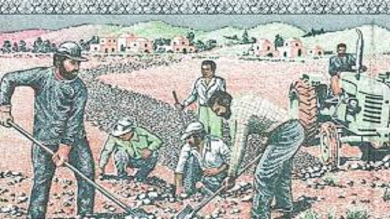 تجلیل از مقام شامخ ۱۱۴ شهید جهادگر در البرز