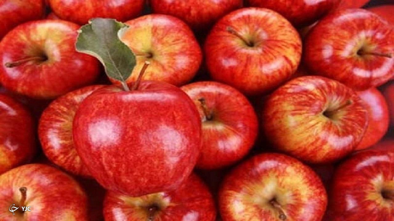 ۳۰ درصد سیب درختی کشور در آذربایجان‌غربی تولید می‌شود