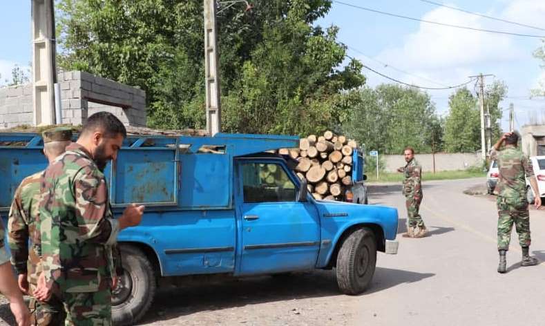 کشف بیش از ۲۰۰ اصله چوب قاچاق در کوچصفهان