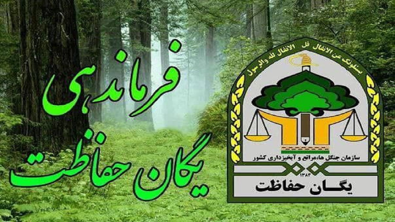 آماده باش نیرو‌های حفاظتی منابع طبیعی در تعطیلات پیش رو