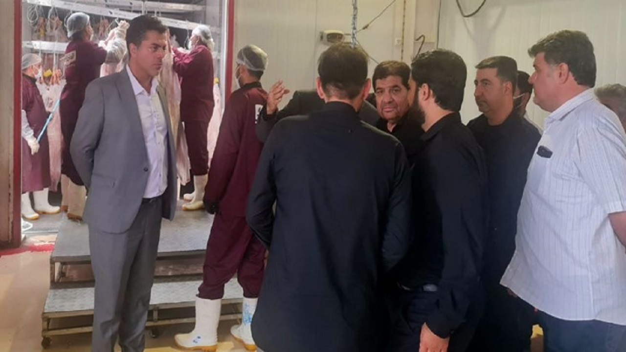 بازدید مخبر از نحوه نگهداری و توزیع اقلام پروتئینی در تهران، قم و البرز