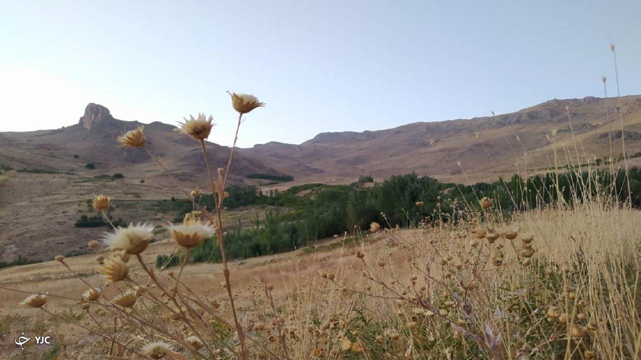 طبیعت بکر و دست نخورده روستای چوبین + تصاویر
