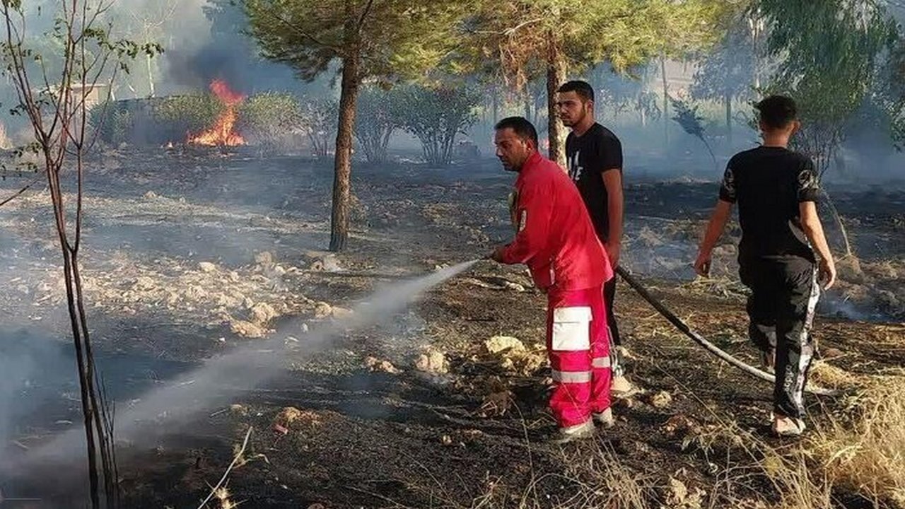 آتش سوزی در نهالستان منابع طبیعی روستای لرینی سیروان