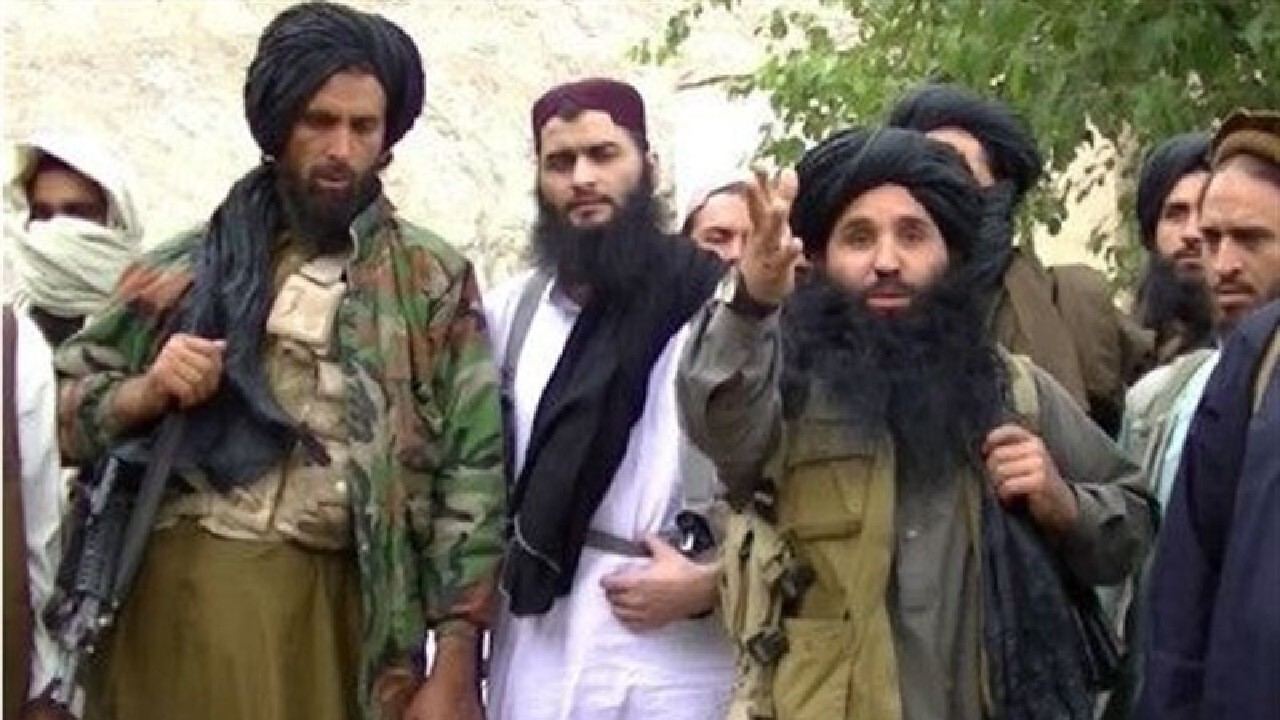 جذب شهروندان افغانستانی در تی تی پی ممنوع شد