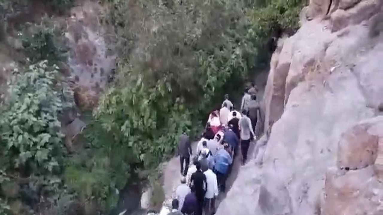 نجات مرد سقوط کرده از درخت در کاغذکنان میانه
