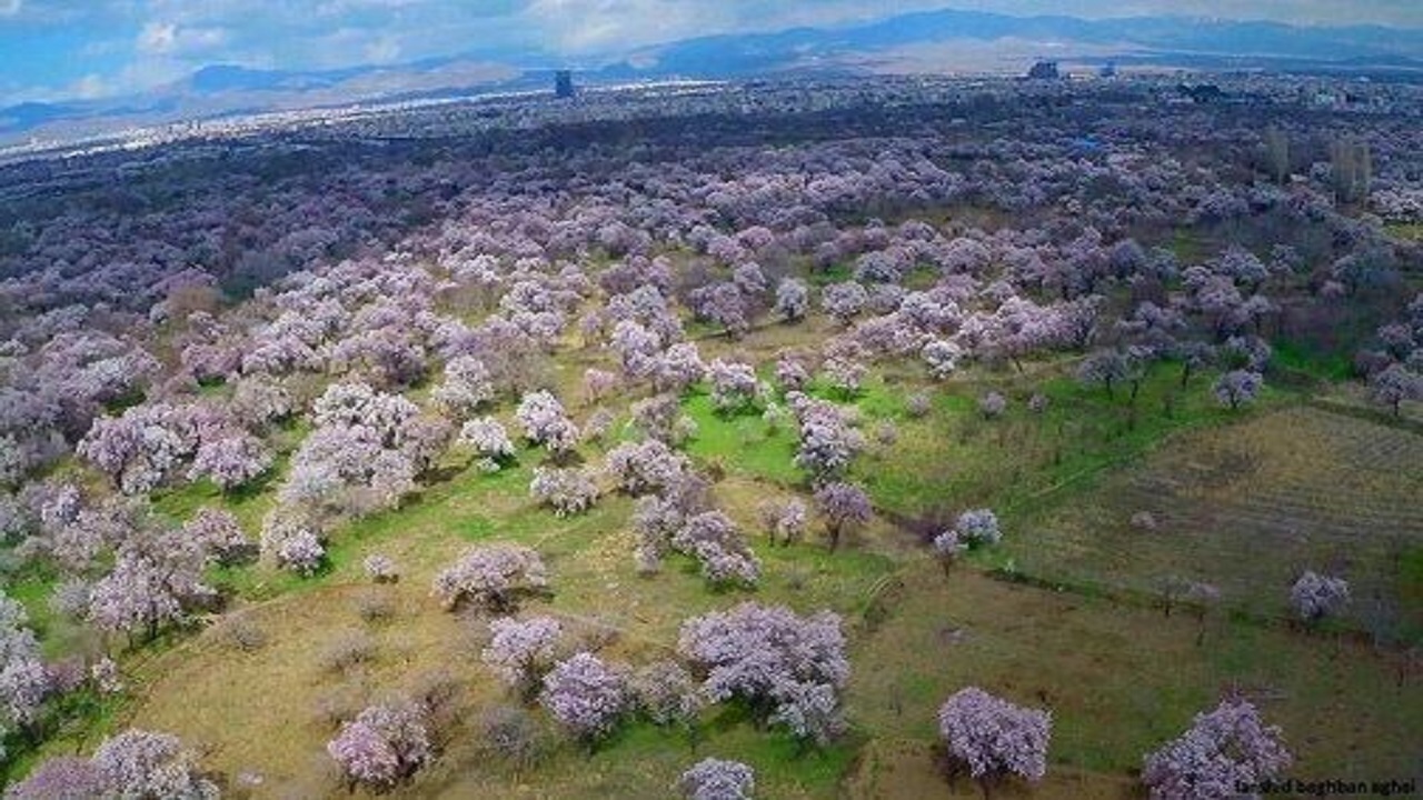 ثبت باغستان قزوین در "جیاس" به محصولات باغی ارزش جهانی می‌بخشد