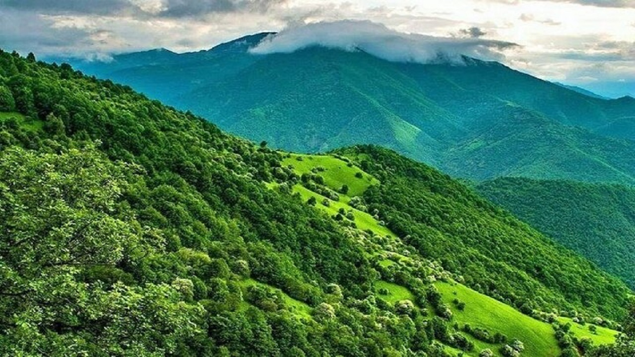 ارسال پرونده جنگل‌های دیزمار در قالب پرونده میراث جهانی ارسباران به یونسکو