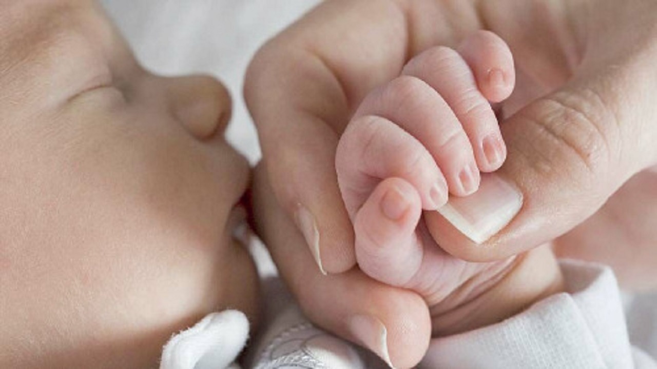 تشکیل ۷۵۱ پرونده برای زوجین نابارور خراسان جنوبی