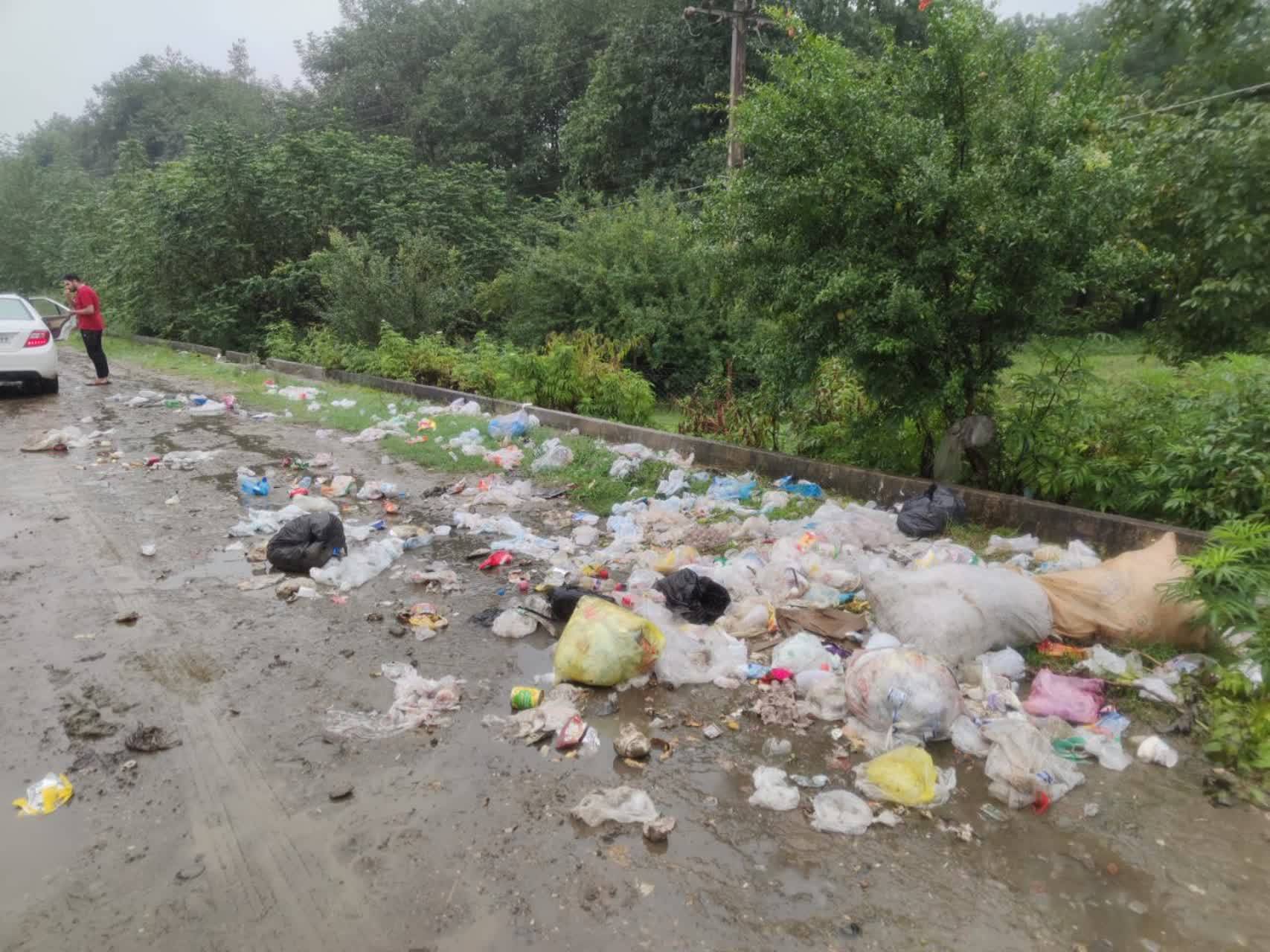 دپوی زباله در طبیعت