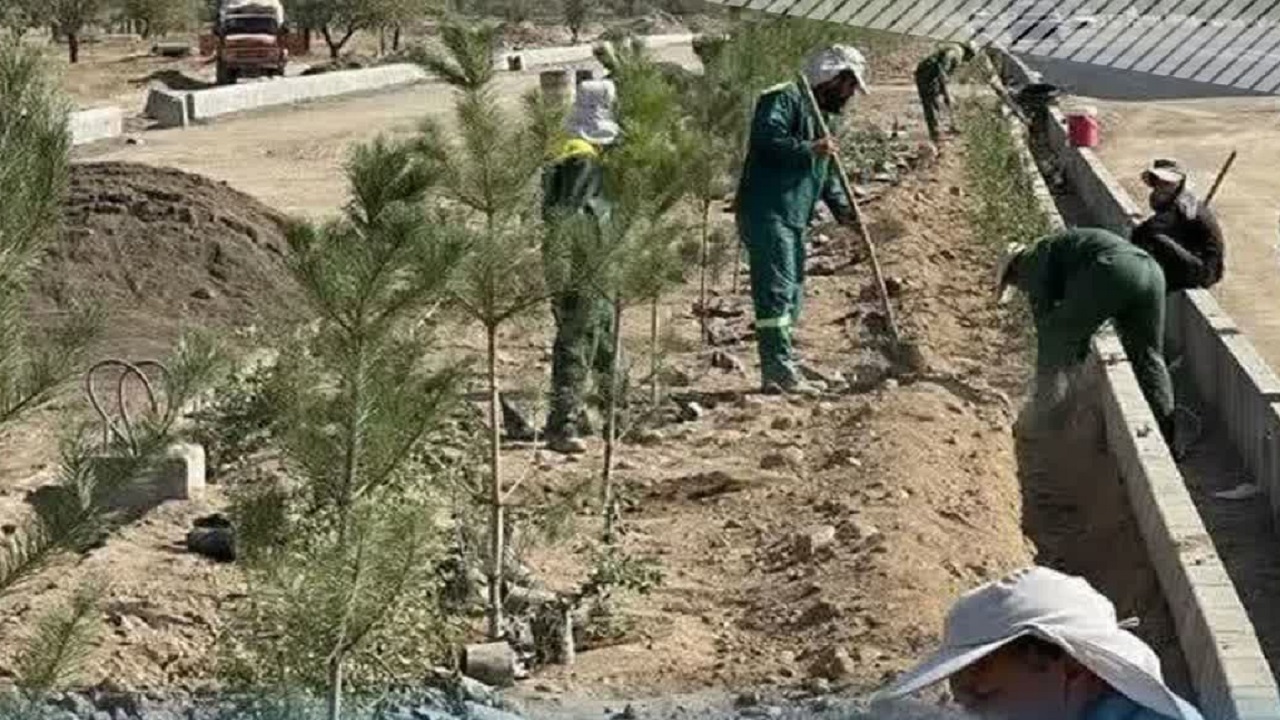 توسعه فضای سبز کمربندی شرق شهر قزوین در گام آخر