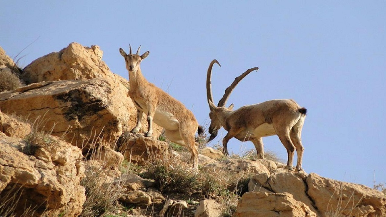 پرونده ارتقاء سه منطقه در اصفهان روی میز کار محیط زیست