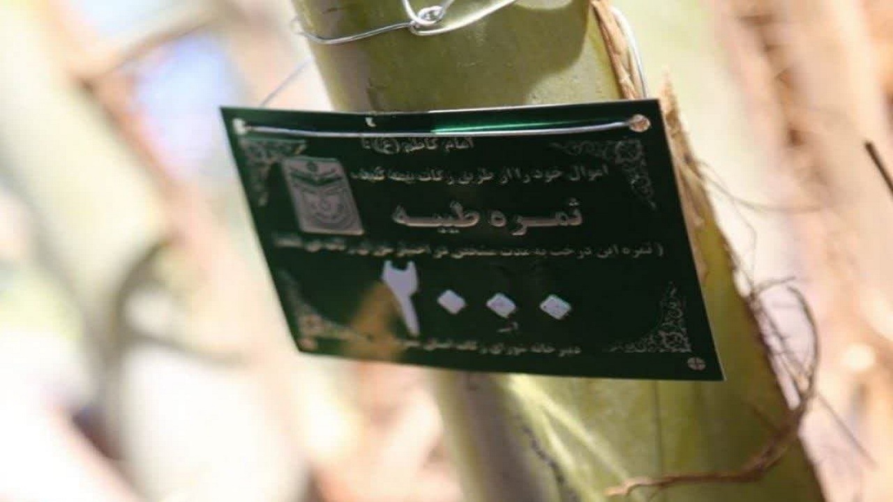 پلاک کوبی ۱۲ هزار اصله درخت در طرح شجره طیبه