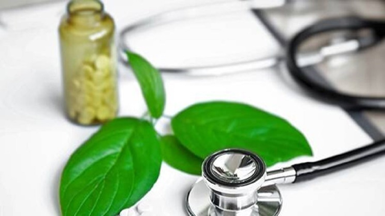 تاکید سازمان جهانی بهداشت به استفاده از ظرفیت طب سنتی در بیانیه اجلاس گجرات