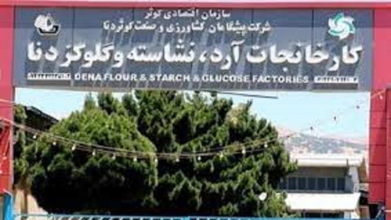 ظرفیت ۱۰۰ درصدی کارخانه آرد نشاسته یاسوج تا دوماه آینده