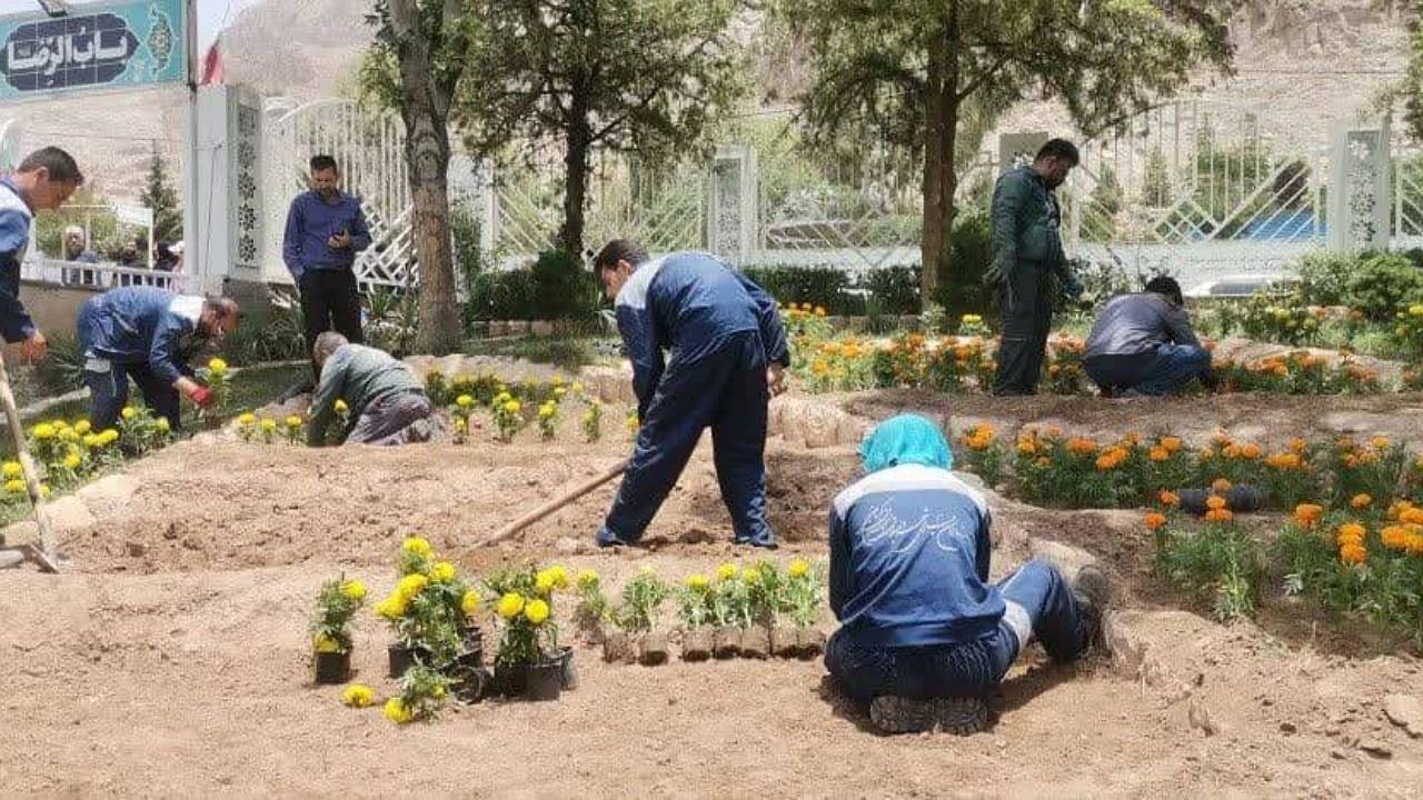 کاشت بیش از ۲۴ هزار گل در گلزار شهدای کرمان