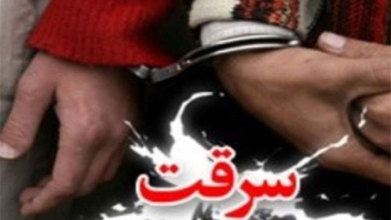 کاهش ۴۳ درصدی وقوع انواع سرقت‌ها در لاشار
