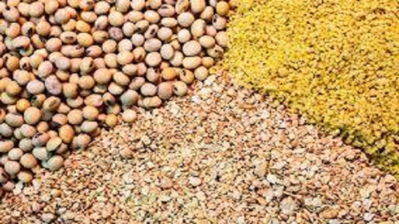 توقیف یک دستگاه کامیون حامل بیش از ۱۰ تن خوراک دام فاقد مجوز