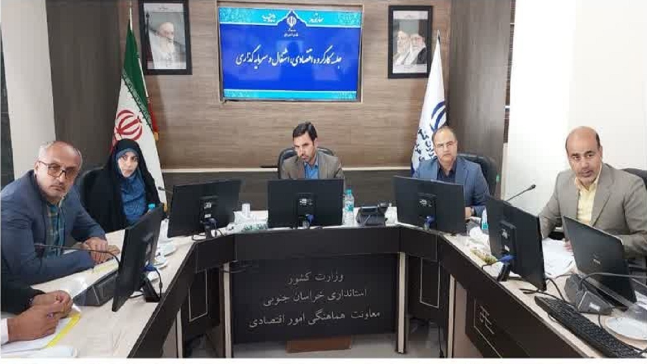 ضرورت تشکیل انجمن تخصصی زرشک/ انتقال حساب واحد‌های بزرگ پیگیری می‌شود