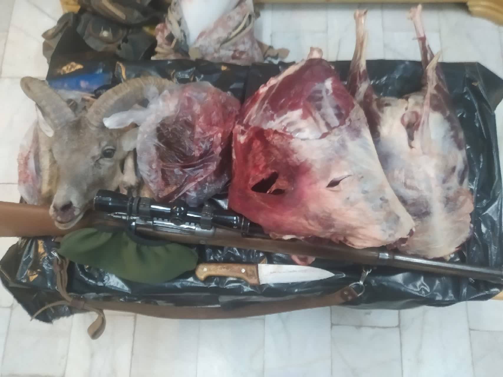 دو گروه از شکارچیان متخلف حرفه‌ای در زرند دستگیر شدند