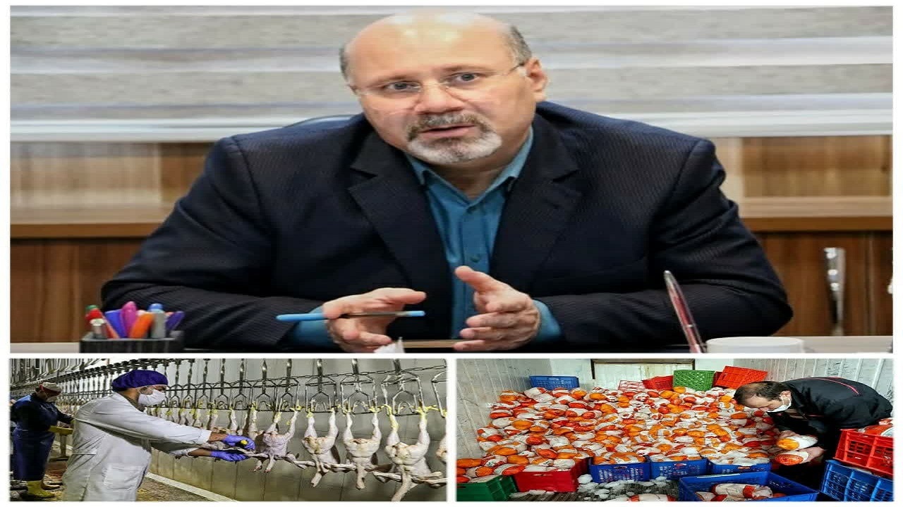 کشتارگاه متخلف در دام تعزیرات قزوین