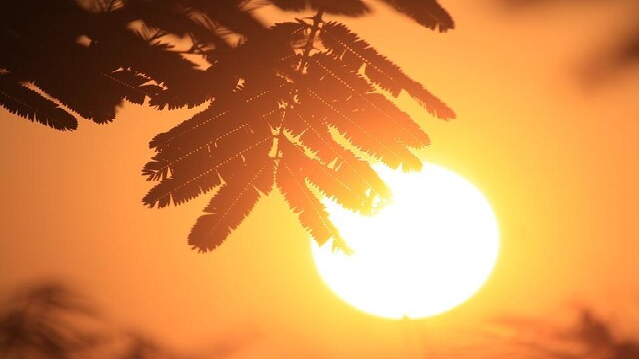 پیش بینی رطوبت و شرجی برای آسمان خوزستان

 