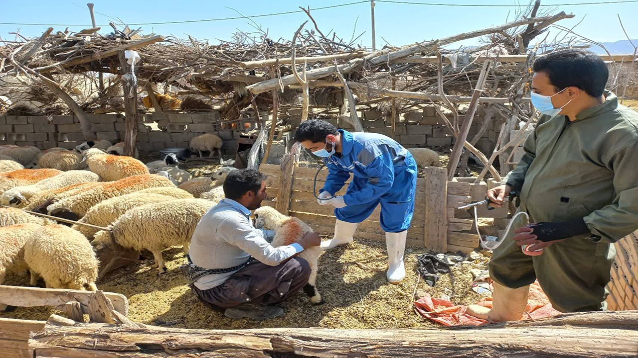 برگزاری اردوی جهادی دامپزشکی در روستای گوراب جمعه دشتخاک
