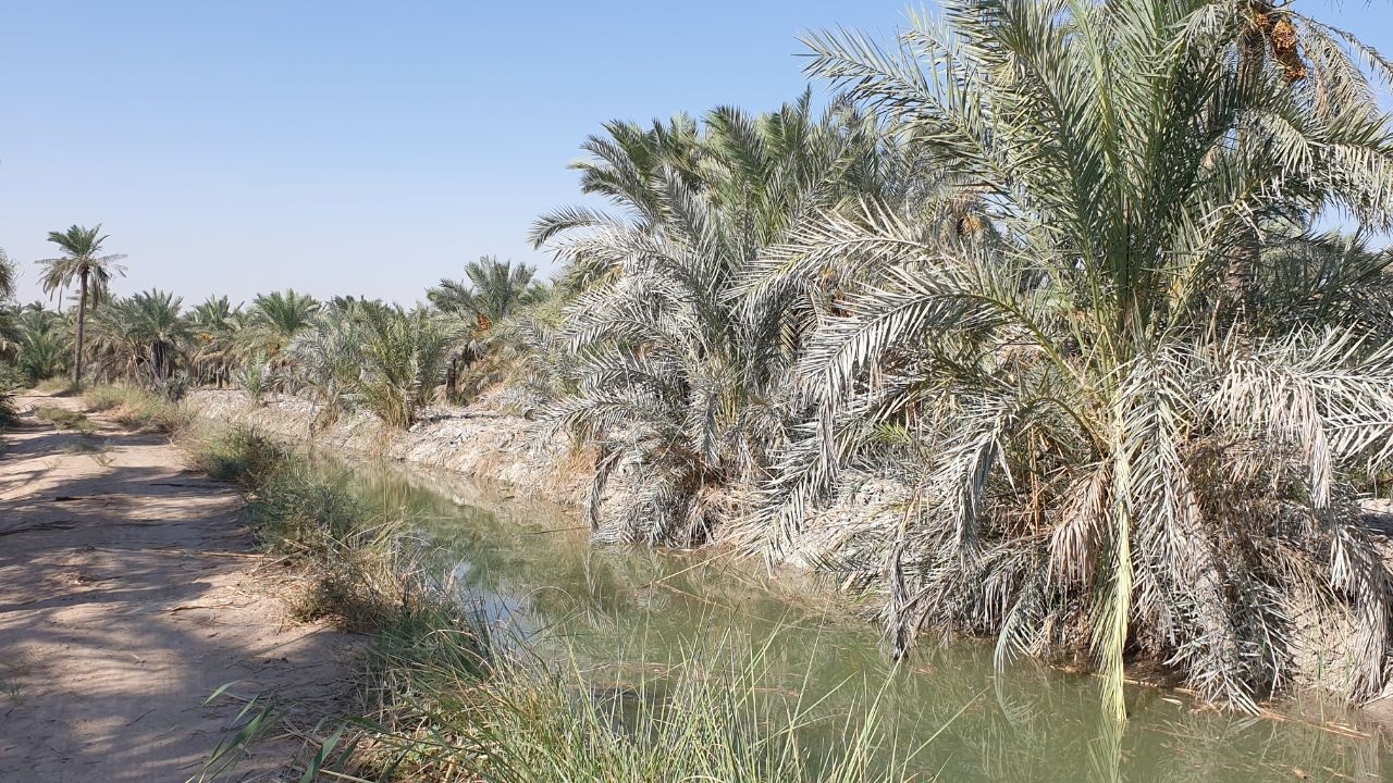 بهره داری از طرح لایروبی انهار سنتی آبادان